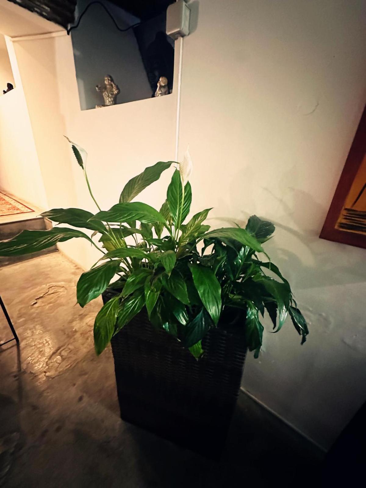 Nuriahboutique Quarto em Acomodações Particulares *