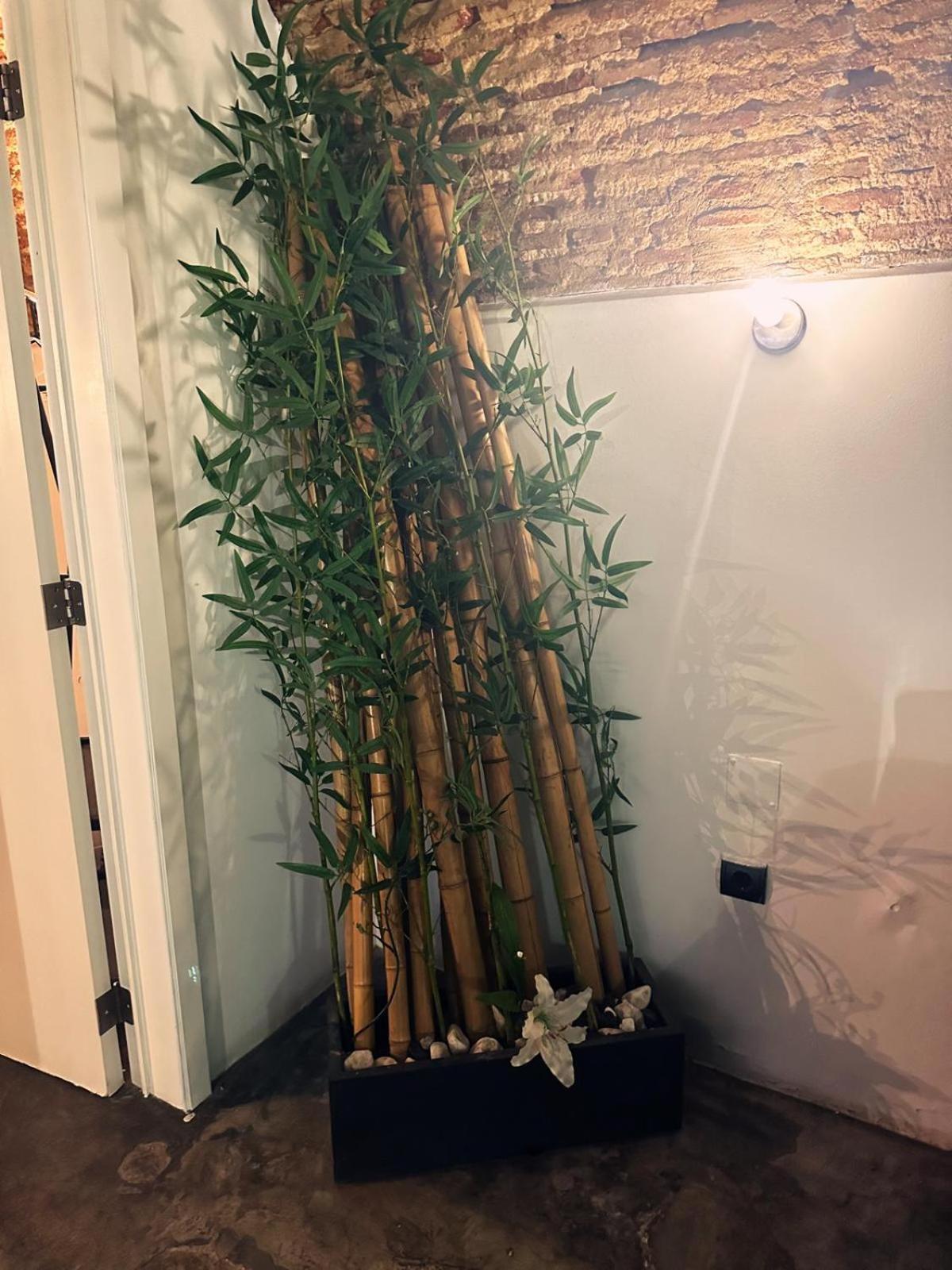 Quarto em Acomodações Particulares Nuriahboutique